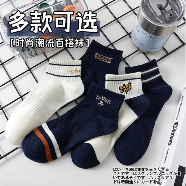 WD4 Stockings Male No. 6