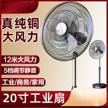 ߅ȼôLu^̨؃ÏLȹشʹIL