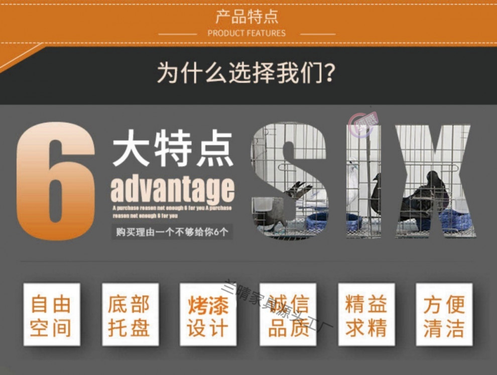 8565ea89-4ba3-4a30-b321-eb571941e3ef.jpe