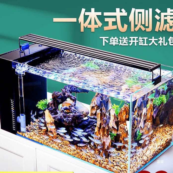 Гостиная небольшой аквариум 2024 новый цикл экологический аквариум с золотыми рыбками