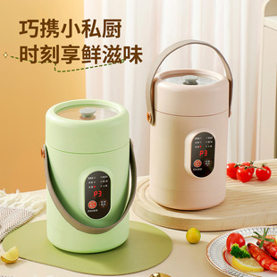 TikTok Internet Celebrity Electric Cooking Pot Portable Soup Porridge Artifact Perspective Stainless Steel Electric Cooking Pot Multifunctional Reservation