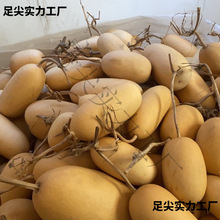 �F�д����̓rҰ�����ϴ����ֺ��J�m���Ӯ����L������ֹ��YƷ�b�