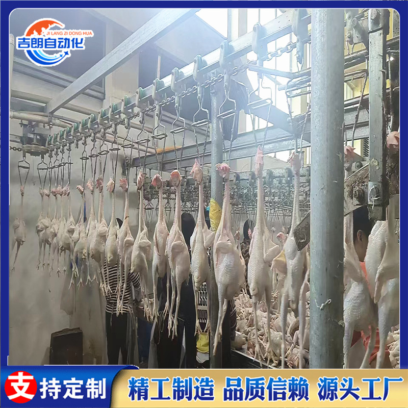 家禽脱毛屠宰流水线 蛋鸡宰杀线 肉鸭屠宰成套设备