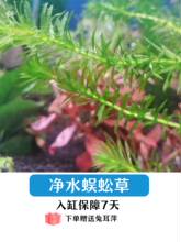 ��ˮֲ�����ݾG�յ�ˮ�B���~���쾰ˮ�ݽ��~��t����С������Ƽ