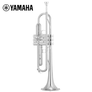 ���R.����YAMAH.A��YTR-S1S�S�~��B�{С̖���W���T�������I