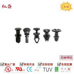 �tʢHSS ���|�����T� ���z�۾� ���Ͽ��� ��ĸ�z�����z�T�