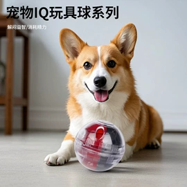 狗狗食具;狗狗玩具;猫猫窝/笼/垫