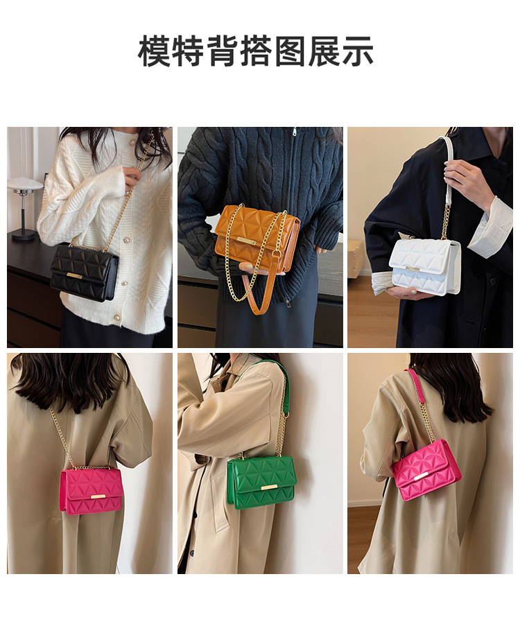 2023123114562477781552w750h900