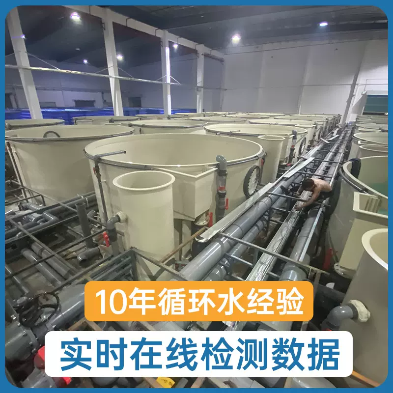 定制多规格抗弯曲圆形塑料pp鱼池工厂化循环水系统耐酸耐腐养殖池