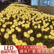 led圆球芦苇灯 户外防水发光球草坪灯庭院装饰灯景观芦苇灯