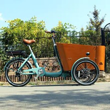 倒骑三轮车electric cargo delivery bike 人力脚踏车欧美亲子车