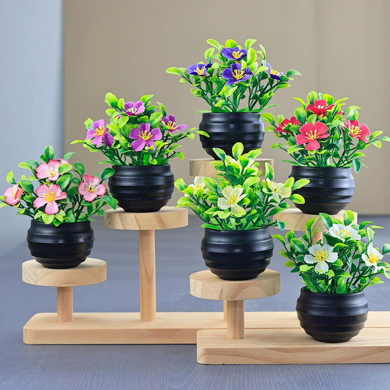 Моделирование зеленой посадки 5 маленьких маргариток мини-горшки для внутреннего и наружного ландшафта