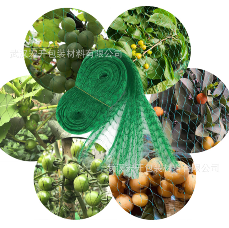 微信图片_20220614113753_副本