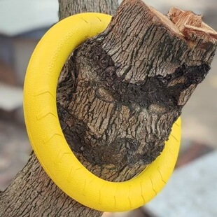 �������h�������ӖȮ���û��ӈA�hĥ����ҧ����Ȯ��ë�RȮ