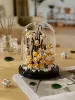 Zen space+transparent flower cover 240pcs