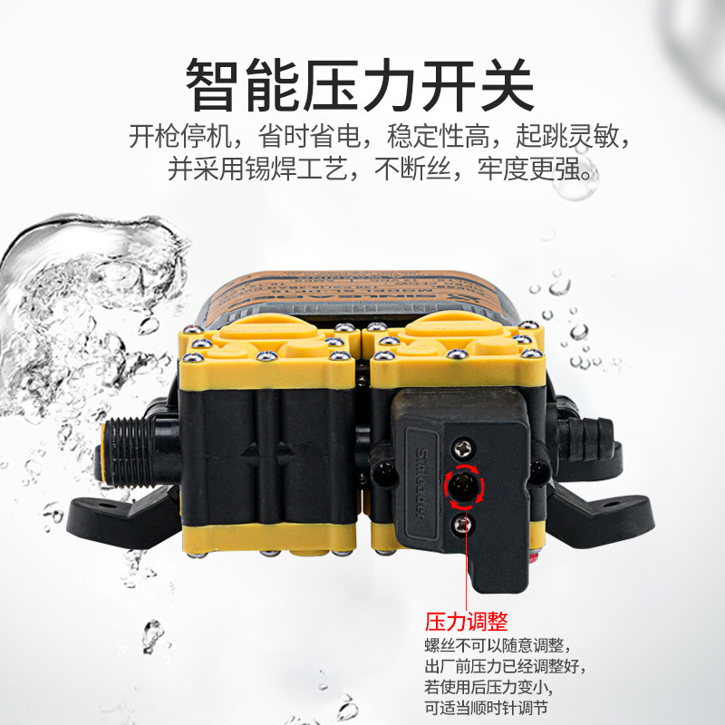 Xinlida dual-core power dual-pump high-power pull tube 50 meters above fruit tree spray diaphragm pump factory wholesale