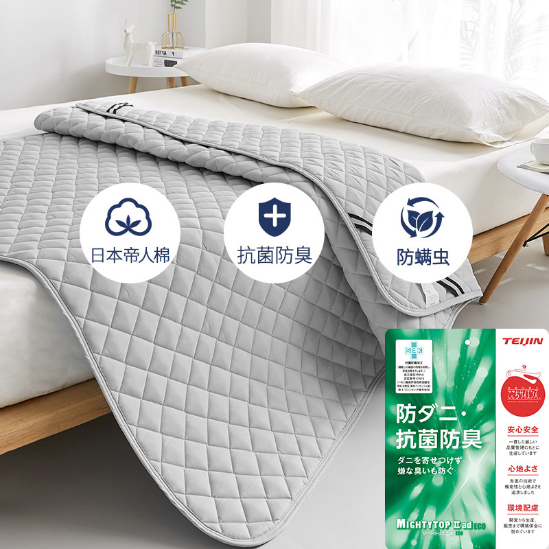 라이트 그레이 [항균진드기 업그레이드]]