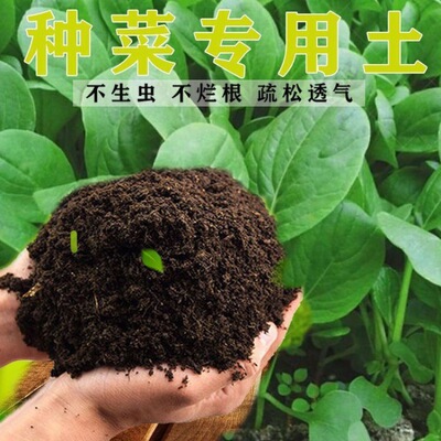 種植土陽台種菜土批發種菜專用有機營養土種菜土壤泥土廠家直銷