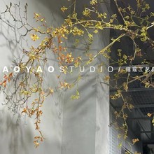 ɽ�w������{���b���˼�����滨��c�b��÷���ֲ��ٻ�����