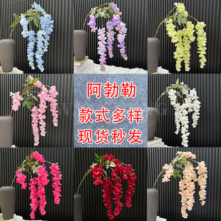 ���������ٻ��ٻ��������ٷ��潁����Y���b� �Ƶ����b� ���l