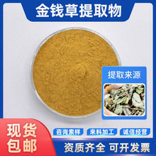 金钱草提取物 多种规格 金钱草粉 现货供应 水溶性浸膏粉 包邮