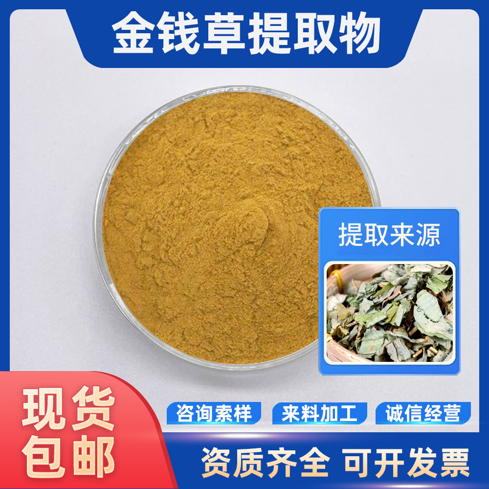 金钱草提取物 多种规格 金钱草粉 现货供应 水溶性浸膏粉 包邮