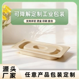 可降解餐具;一次性餐盒;纸浆模塑