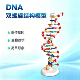 算盘;生物教学器材;教学演示用品