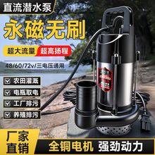 �oˢ�и�ֱ����ˮ���ƿ܇��ˮ�ü����r��48V60V��늄�܇������