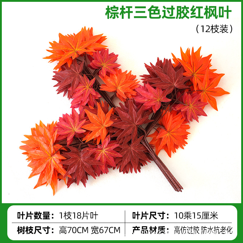 접착된 갈색 줄기 삼색 붉은 단풍잎(12가지)