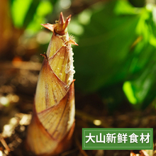 �����خa�S�z�r��Ұ������̼���S�S��⟟�S�۸ɹS��S���r��؛