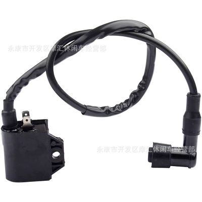 Voltage Package Coil – Other power supply, ignition system