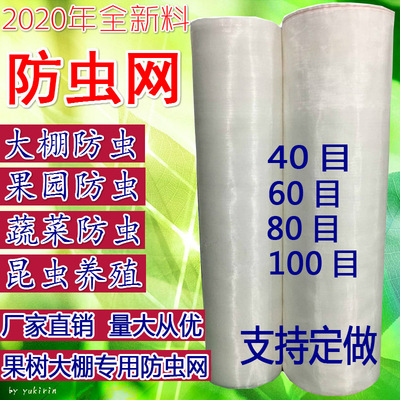 防蟲網尼龍網果樹臍橙果園加密加厚蝗蟲養殖防蟲網大棚專用
