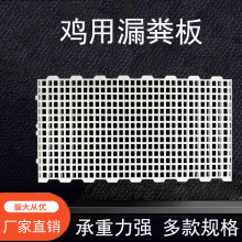 鸡鸭鹅漏粪板加厚家禽漏粪板鸽子养殖专用塑料脚垫漏屎板鸡舍地板