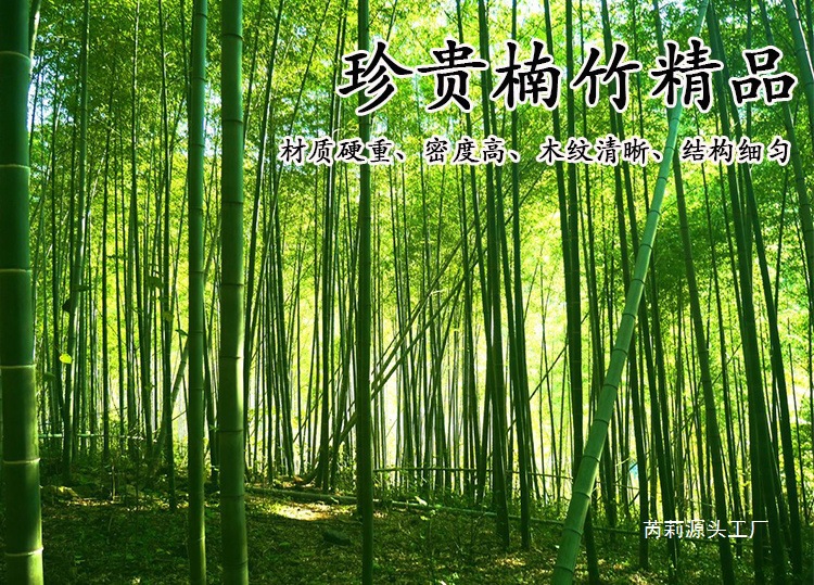 e74c4203-0d26-4cb6-b3ec-1be6296ef8c8.jpe