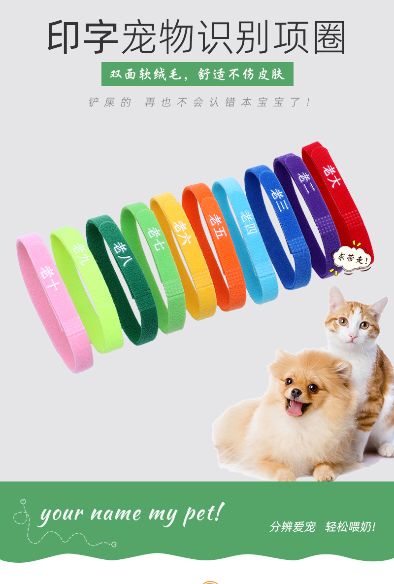 10色印字宠物圈详情2_01