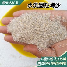 海沙现货 儿童乐园幼儿园白沙跳远沙坑沙子 沙滩用圆粒石英砂海砂