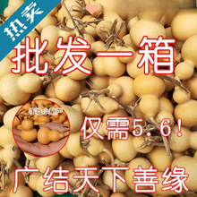 ���J�؃r����������С���J��Ʒ���lС���ְѼ���Ȼ���J�������