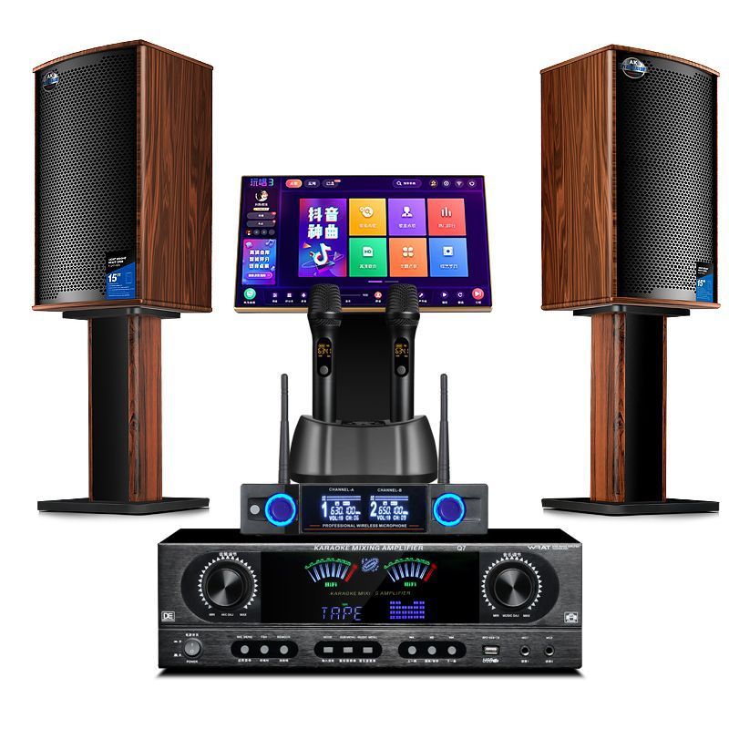 Barreh Home Ktv Audio Set Karaoke Living Room Bar Full Set of Karaoke Machine Combination High Power
