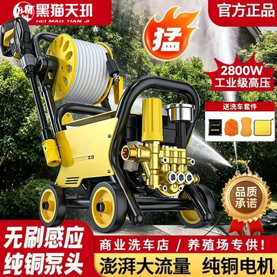 Qara Pişik 26 Model Təmiz Mis 220V Yüksək Təzyiqli Avtomobil Yuyan Nasos
