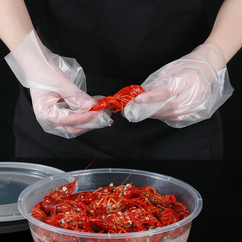 Wholesale Disposable Thickened Transparent PE Gloves with Independent Packaging for Hair Salons, Kitchens, Takeaway and Food Use