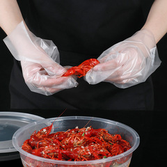 Wholesale Disposable Thickened Transparent PE Gloves with Independent Packaging for Hair Salons, Kitchens, Takeaway and Food Use