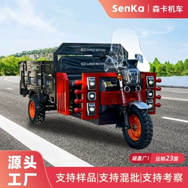 电动三轮车;其他电动车