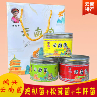 ���d��Ͼ��u�������׾�ţ�ξ�ƿ�b�������bĢ���u�����خa�����