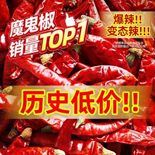 干辣椒辣椒粉商用四川特辣辣椒段干辣辣椒面印度辣椒干货