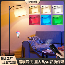 跨境led落地灯客厅中古简约高颜值落地台灯rgb调光卧室落地氛围灯