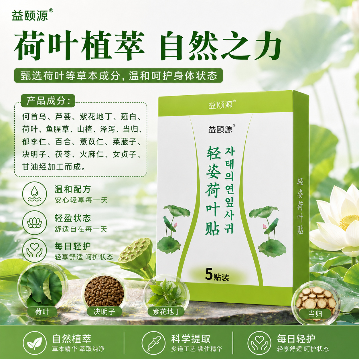 Lotus Leaf and Mugwort Navel Patch 5 Piece Pack External Herbal Body Patch for Wellness Massage specifications