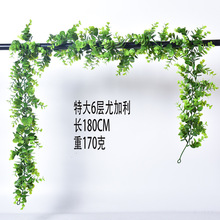 �羳���R�d�����ȼ�������~ ��������X�~�����ٗl�G�~��c�b�