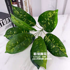 9头仿真绿植万年青 绿萝 龟背叶把束过胶手感叶植物墙配材装饰