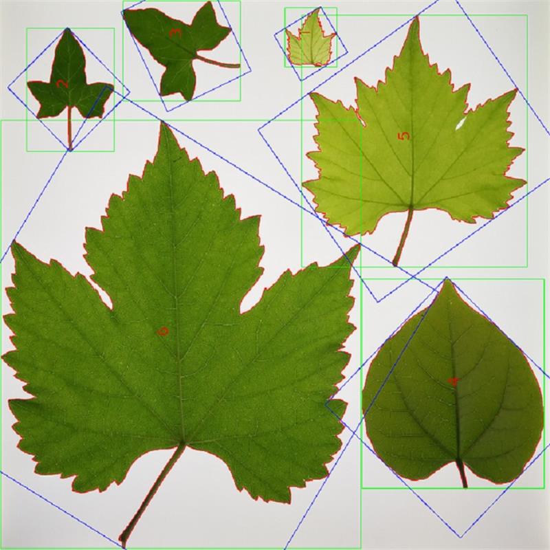 （价可议）叶面积分析系统  型号:M335803  库号：M335803